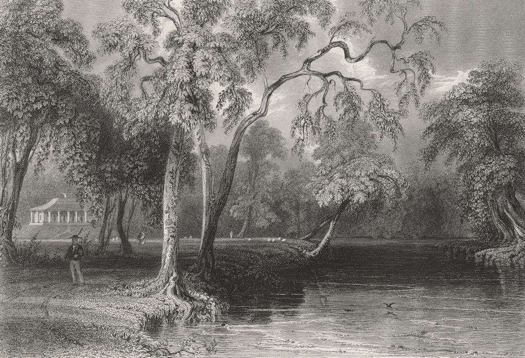 View from Glenmary Lawn (on the Owago), New York. WH BARTLETT 1840 old print